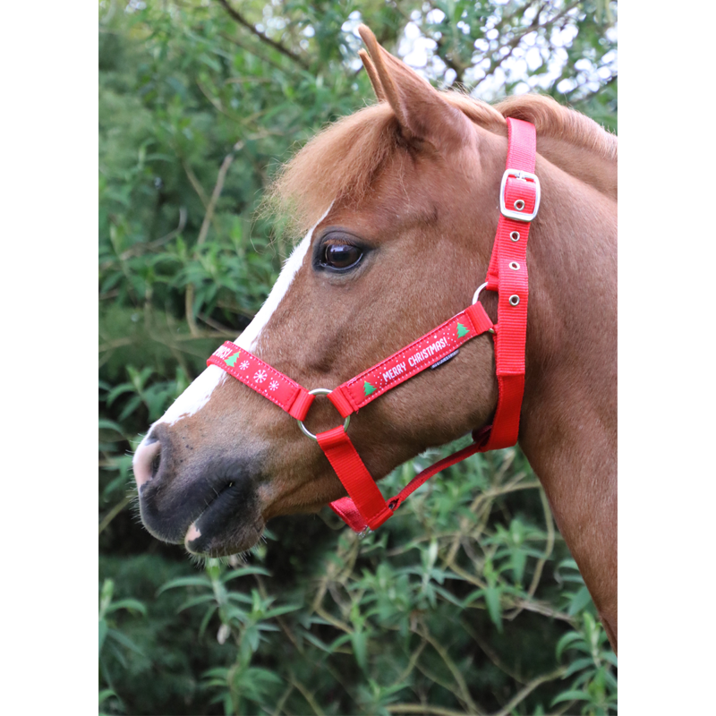 Hy Equestrian Merry Christmas Head Collar and Leadrope -1